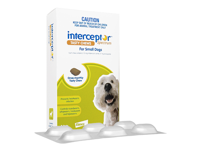 Interceptor[4-11kg小型犬用]6チュアブル 1箱